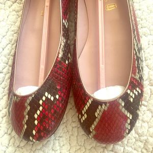 Pretty Ballerina Flats